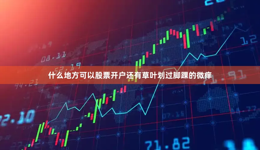 什么地方可以股票开户还有草叶划过脚踝的微痒